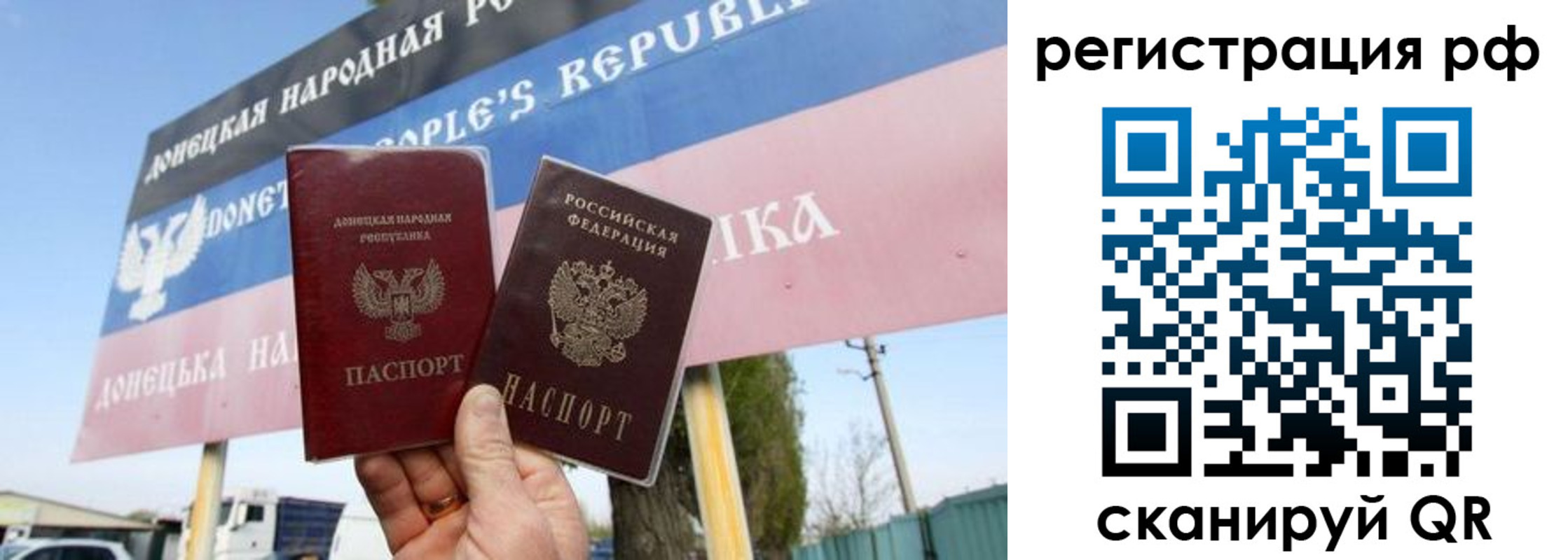 прописка поиск в Электрогорске